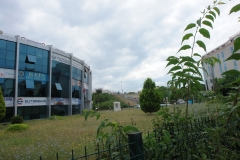 DSC06861