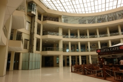 DSC07011