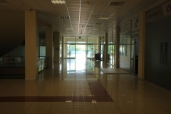 DSC07054